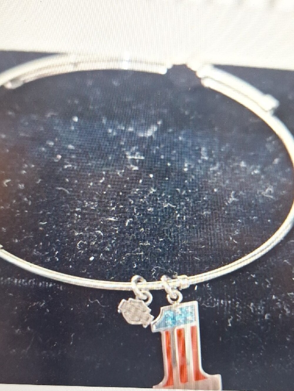NWT Harley-Davidson Silver Charm Bangle Bracelet